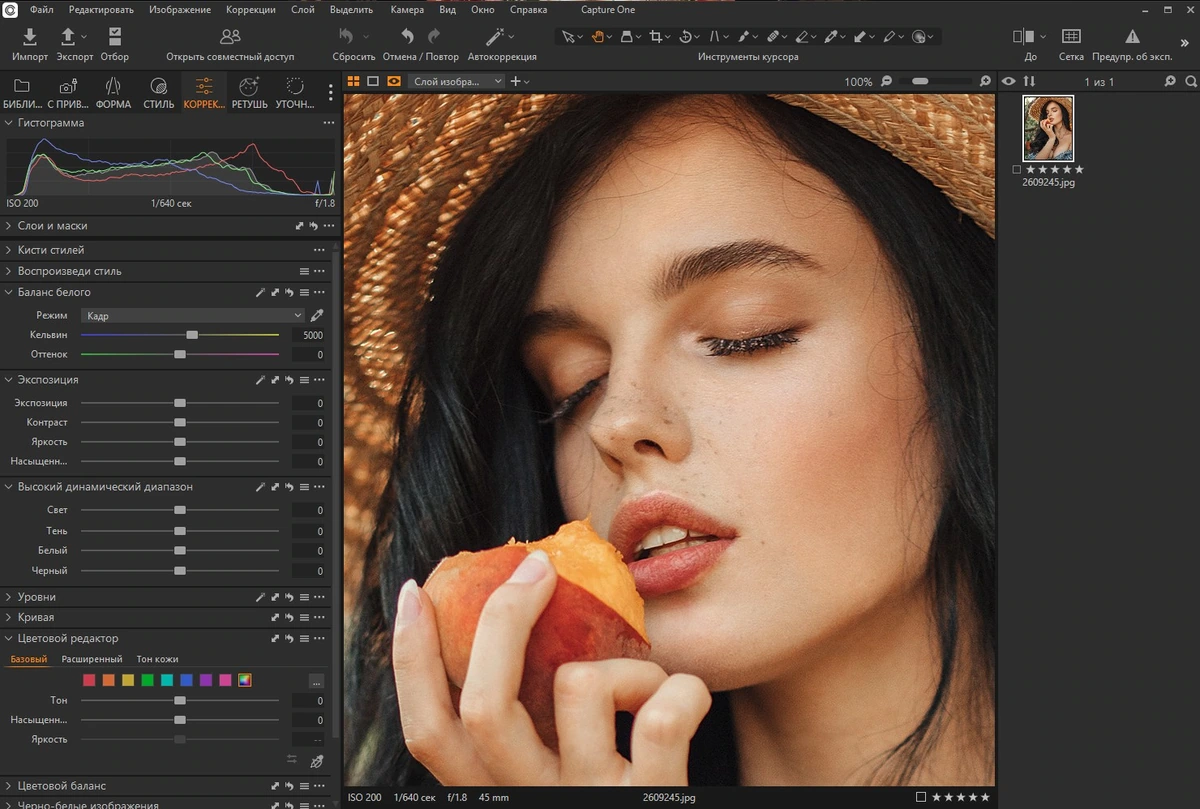 Конвертер цифровых фотографий Capture One 23 Pro/Enterprise 16.7.1.3218 — изображение 3