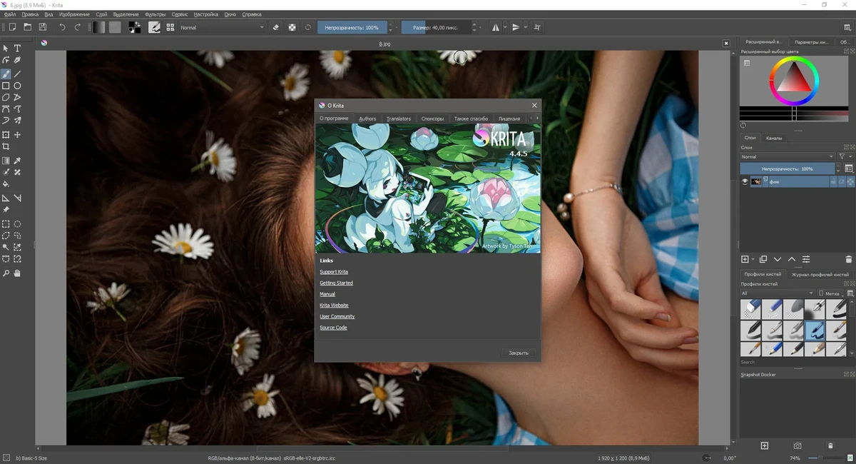 Krita 4.4.5 + Portable — изображение 3
