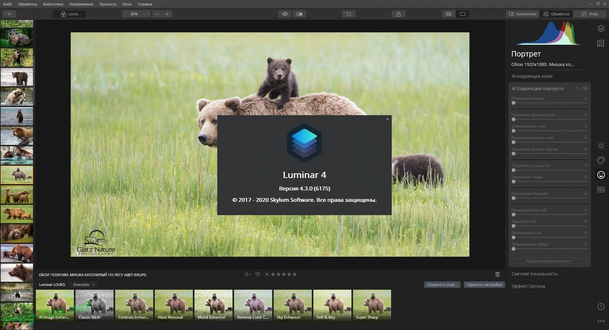 Luminar наложение эффектов на фото 4.3.0.6175 RePack (& Portable) by elchupacabra — изображение 3