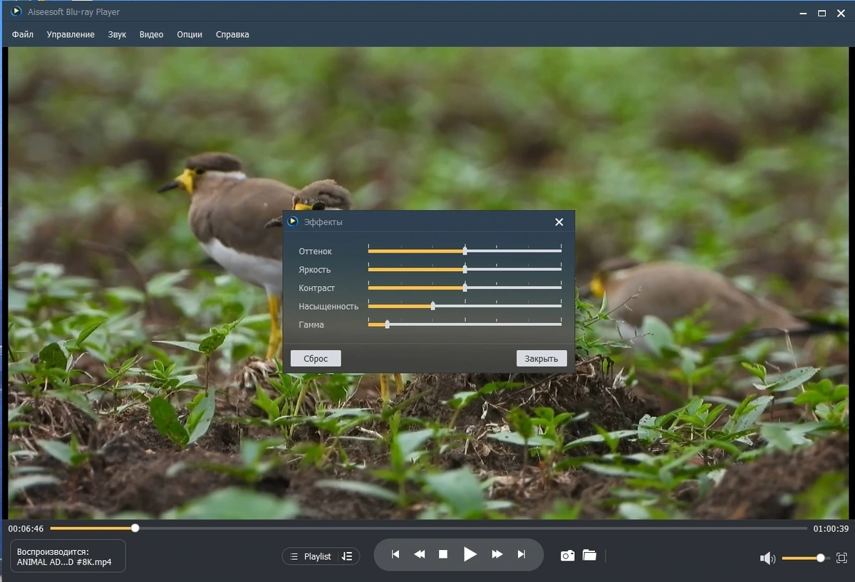 Aiseesoft Blu-ray Player 6.7.62 Полная + Портативная версии by elchupacabra — изображение 3