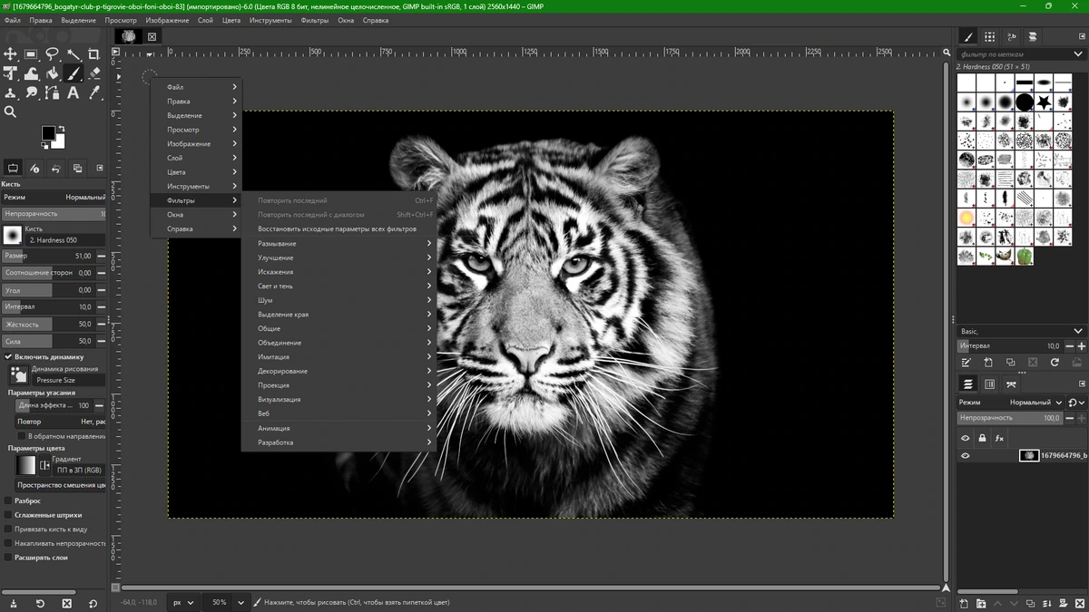 Масштабирование и кадрирование фотографий GIMP 3.0.4 by FC Portables — изображение 3