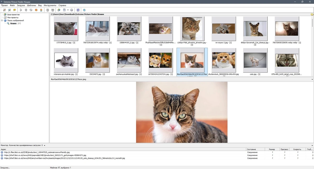 Массовая загрузка картинок - Extreme Picture Finder 3.65.11.0 RePack by elchupacabra — изображение 3