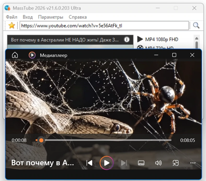 MassTube Ultra 21.6.0.203 — изображение 3