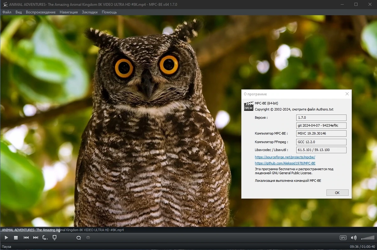 Media Player Classic - Black Edition 1.7.0 Stable Полная + Портативная версии by elchupacabra — изображение 3