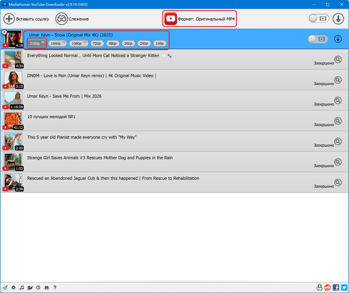 MediaHuman YouTube Downloader быстрый загрузчик видео 3.9.19 (1803) — изображение 3