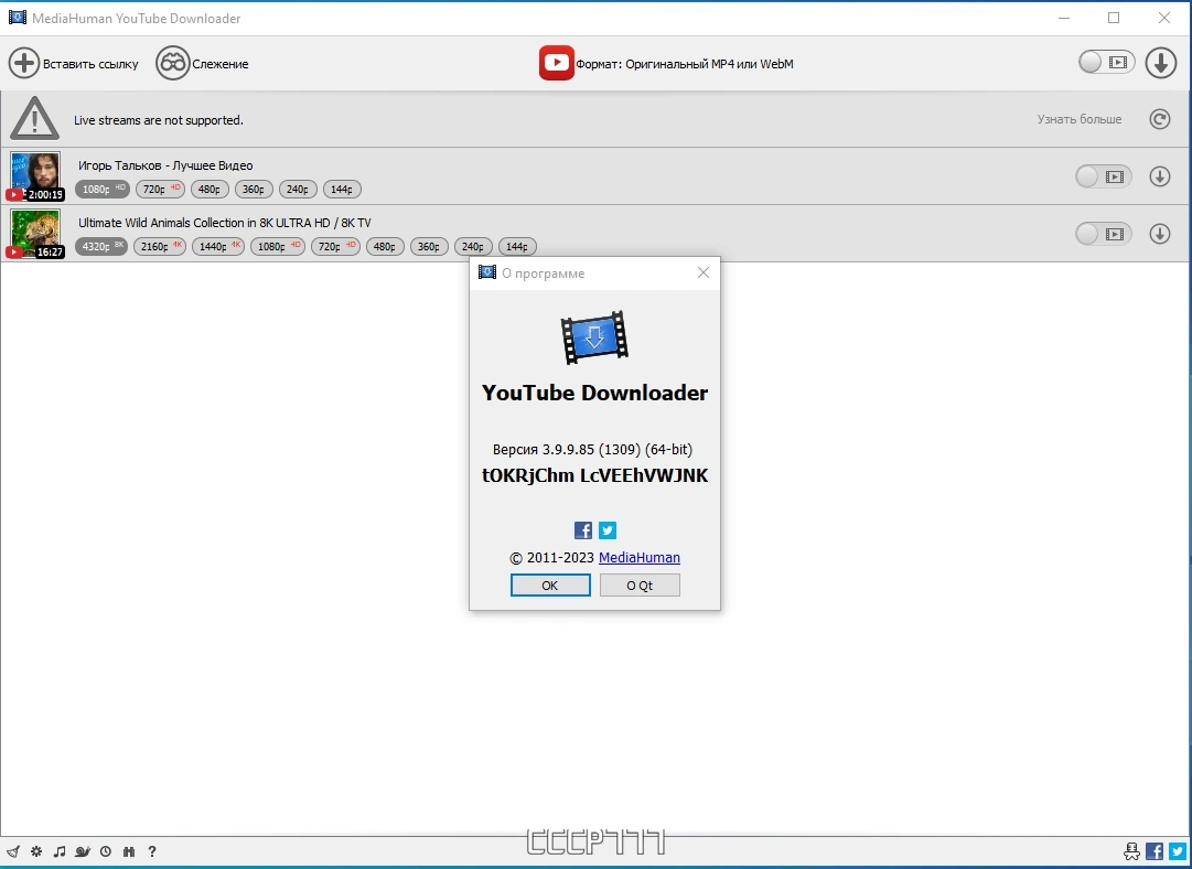 MediaHuman YouTube Downloader загрузчик видео с Ютуба 3.9.9.85 (1309) by elchupacabra — изображение 3
