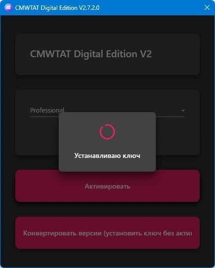 Активатор для Windows CMWTAT Digital Edition 2.7.2.0 Portable — изображение 3