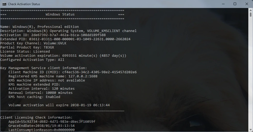 Активатор для Windows KMS_VL_ALL v53 + AIO Portable — изображение 3