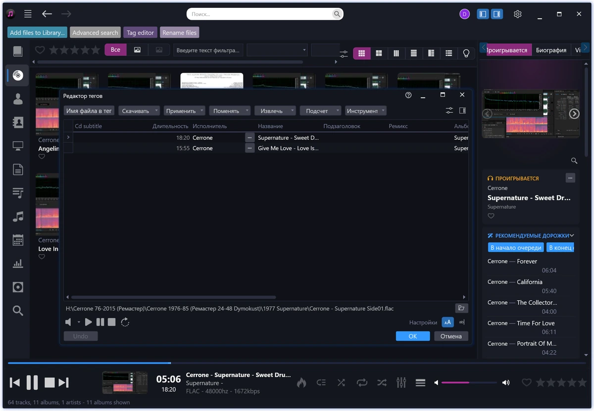 Менеджер музыкальных файлов Helium Music Manager Premium 18.1.773.0 — изображение 3