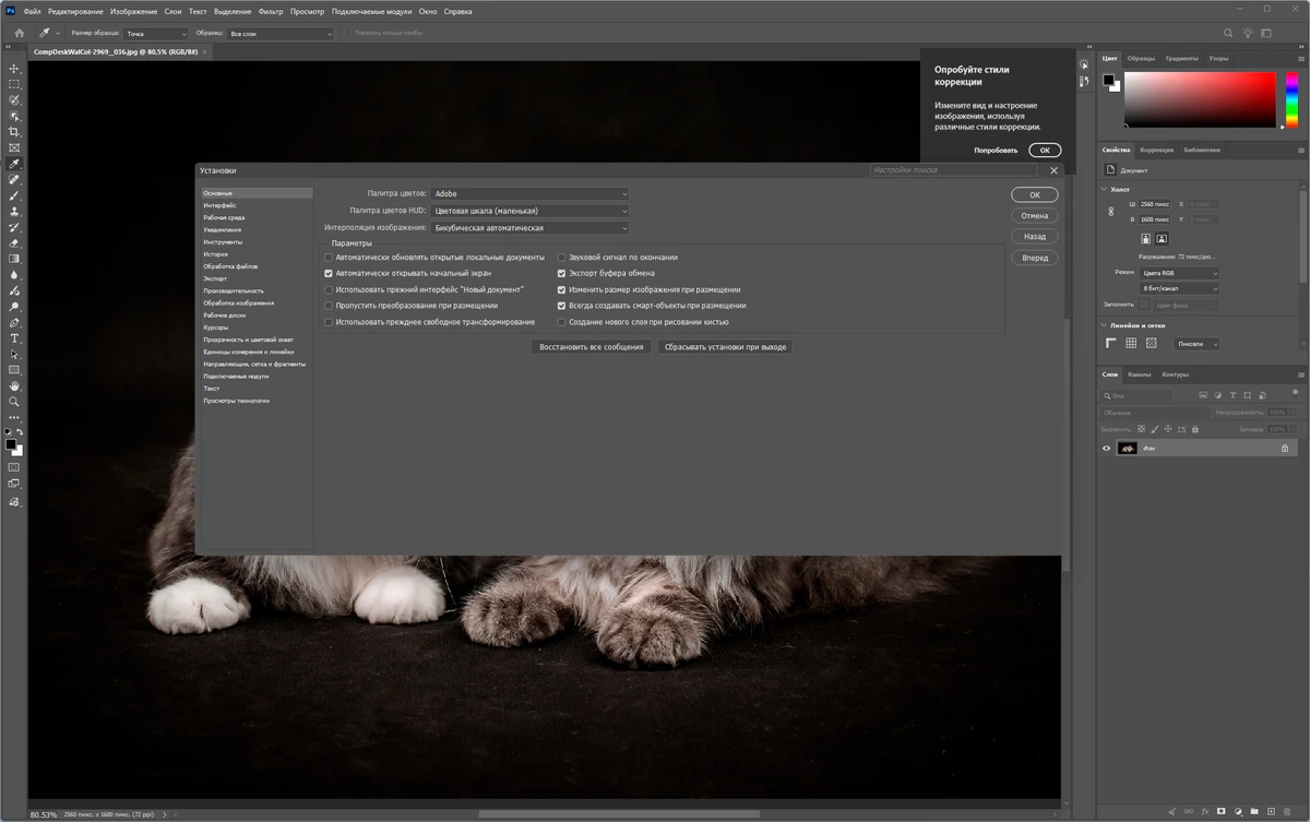 Многофункциональный редактор фотографий Adobe Photoshop 2026 27.8.0.13 — изображение 3