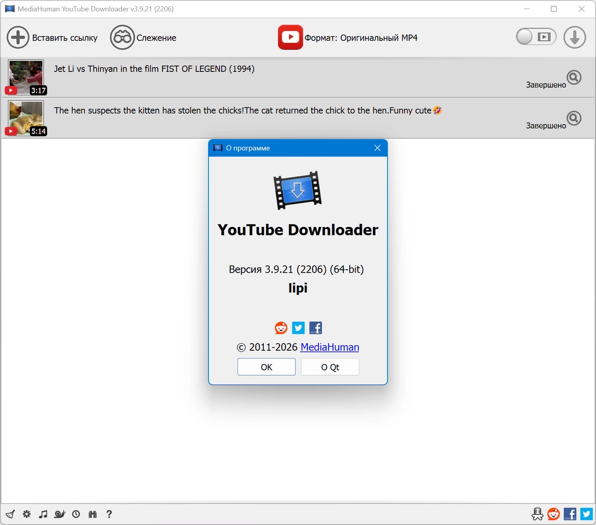 Многопоточный видеозагрузчик MediaHuman YouTube Downloader 3.9.21 (2206) — изображение 3
