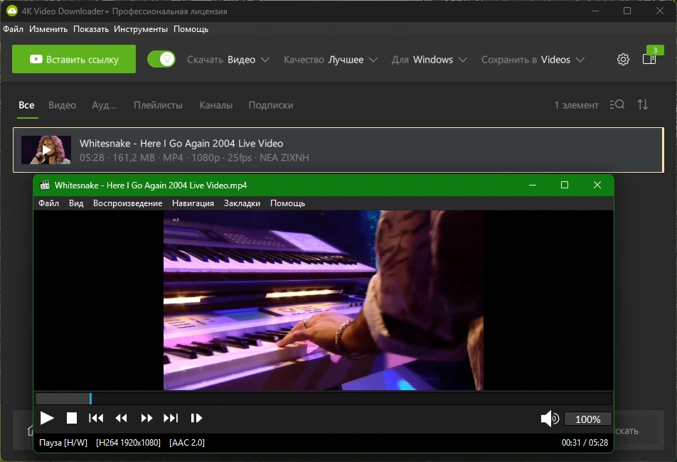 Многопоточный загрузчик видео 4K Video Downloader+ 25.1.2.0198 by KpoJIuK — изображение 3