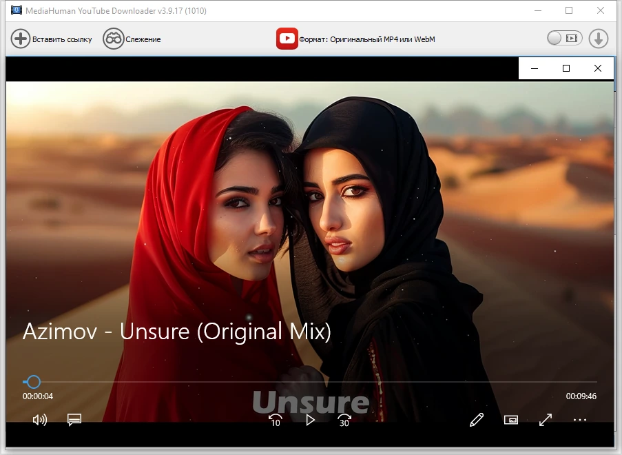 Многопоточный загрузчик видео MediaHuman YouTube Downloader 3.9.17 (1010) — изображение 3