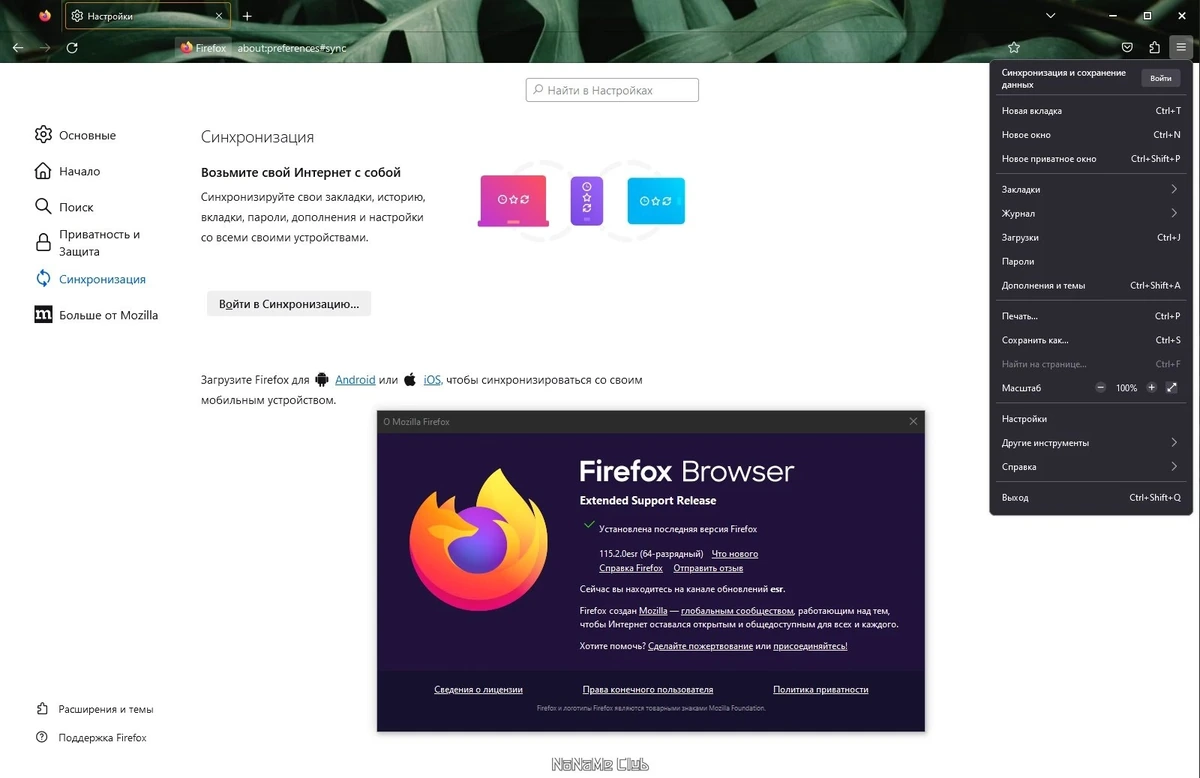 Firefox Browser ESR браузер для компьютера 115.2.0 — изображение 3