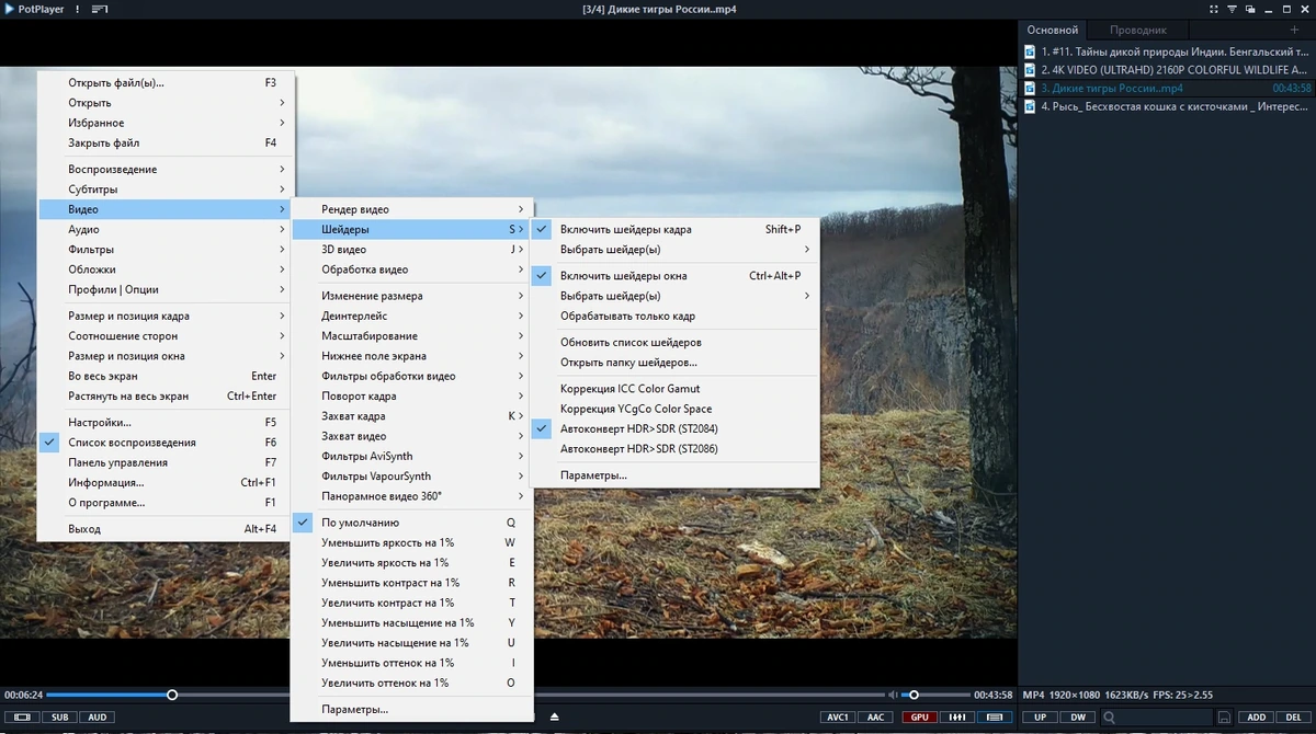 Мультимедийный плеер - PotPlayer 231113 (1.7.22038) (x64) Stable RePack by 7sh3 — изображение 3