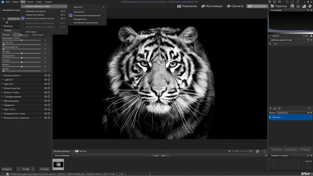 Обработка цифровых фото ACDSee Photo Studio Ultimate 2026 19.0.0.4295 Full / Lite by KpoJIuK — изображение 3