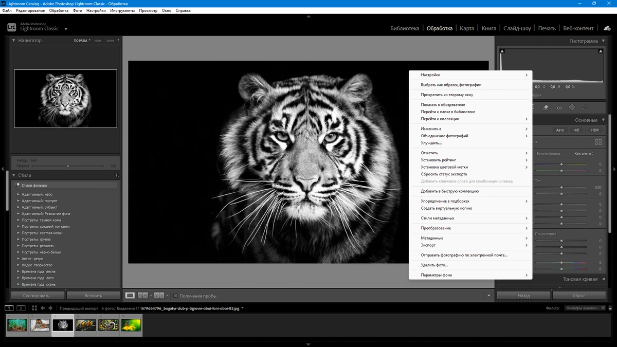 Обработка фотографий Adobe Photoshop Lightroom Classic 2024 14.5.0.4 by KpoJIuK — изображение 3