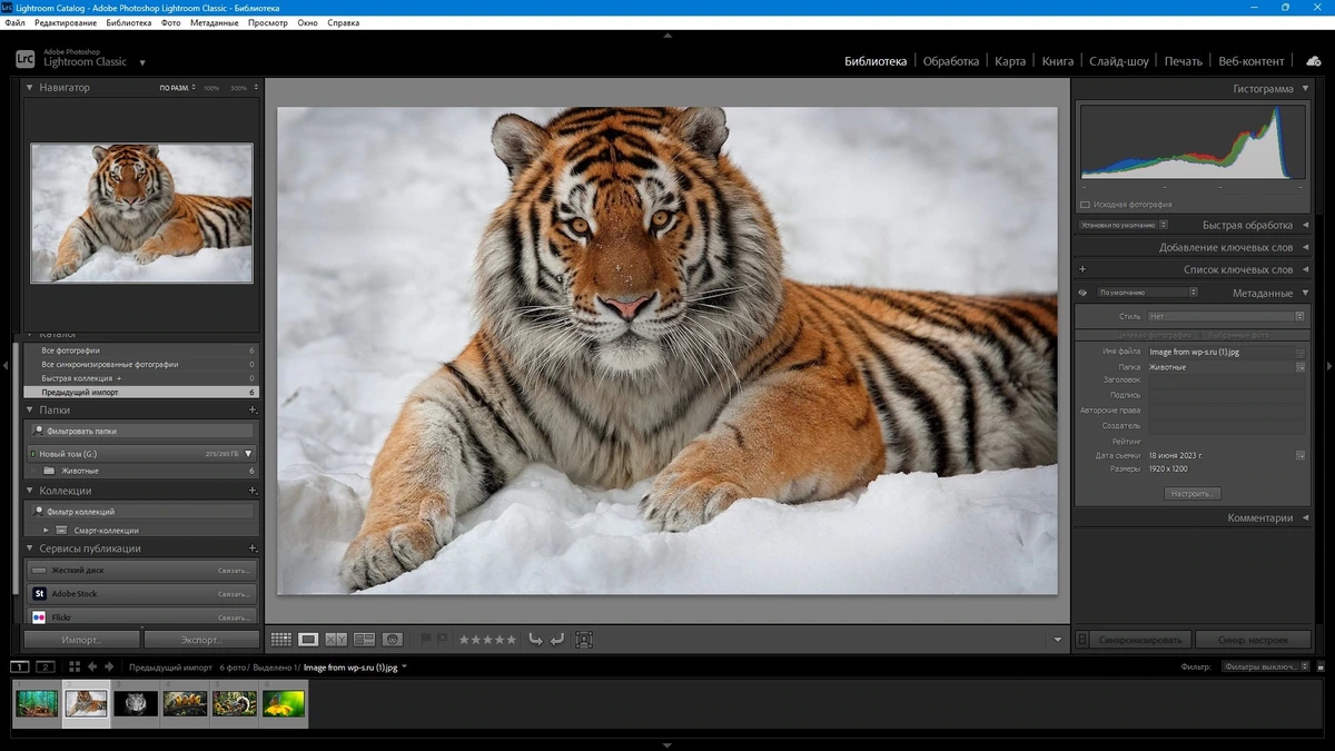 Обработка и каталогизация фотографий Adobe Photoshop Lightroom Classic 2024 14.1.0.7 RePack by KpoJIuK — изображение 3