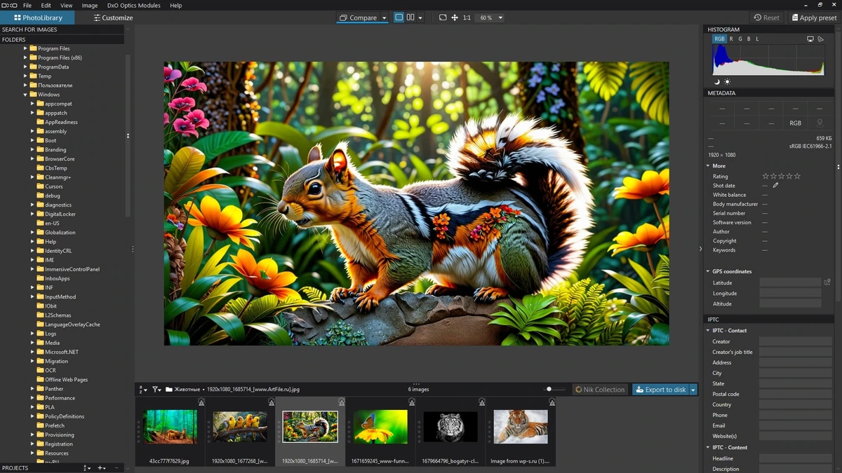 Обработка RAW изображений DxO PhotoLab Elite 8.2.1 build 487 RePack by KpoJIuK — изображение 3