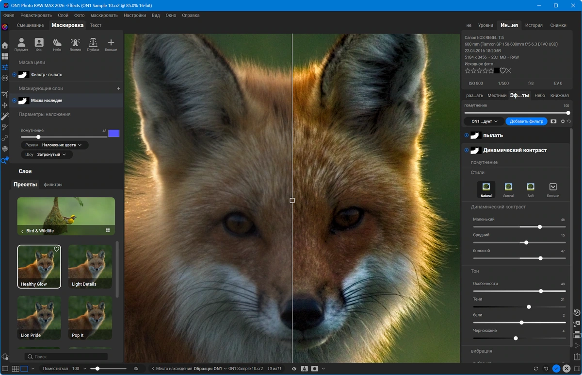 ON1 Photo RAW MAX 2026.4 20.4.1.18862 + Creative Pack — изображение 3