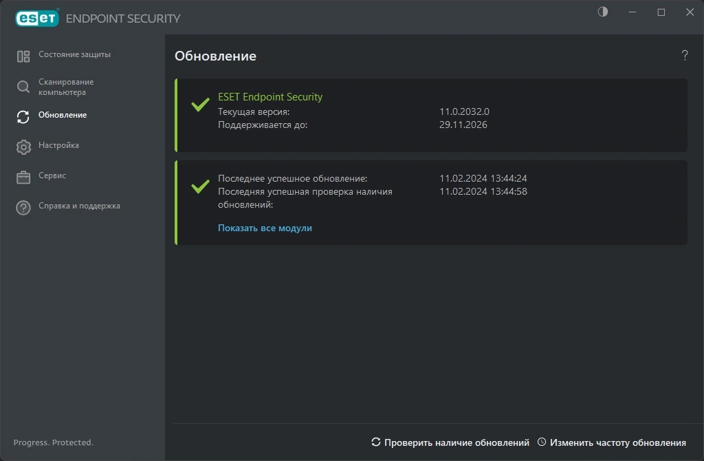 Антивирус - ESET Endpoint Antivirus / ESET Endpoint Security 11.0.2032.0 (11.02.2024) — изображение 3