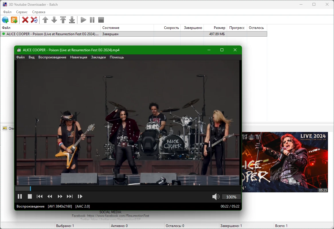 Пакетная загрузка видео 3D Youtube Downloader - Batch 2.16.2 by elchupacabra — изображение 3