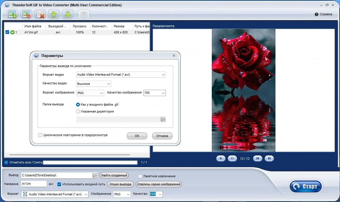 Пакетное конвертирование файлов gif в видео - ThunderSoft GIF to Video Converter 4.5.0 (Repack & Portable) by elchupacabra — изображение 3