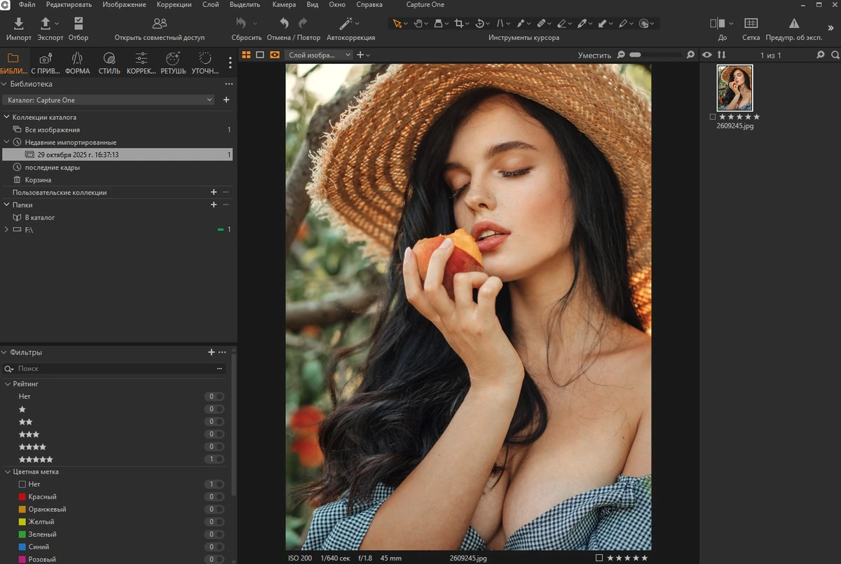 Capture One 23 Pro/Enterprise 16.7.0.3201 — изображение 3