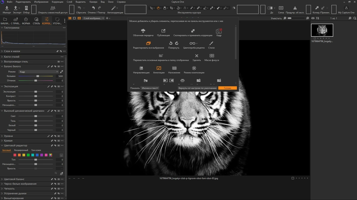 Capture One конвертер фото 23 Enterprise 16.5.7.2742 by KpoJIuK — изображение 3