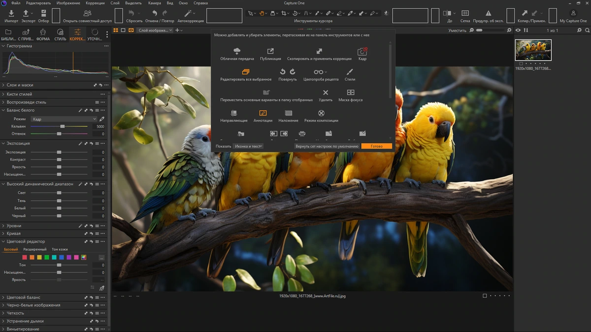 RAW конвертер Capture One 23 Enterprise 16.5.9.2795 by KpoJIuK — изображение 3