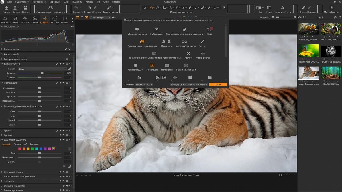 Capture One 23 Enterprise 16.6.1.2962 by KpoJIuK — изображение 3