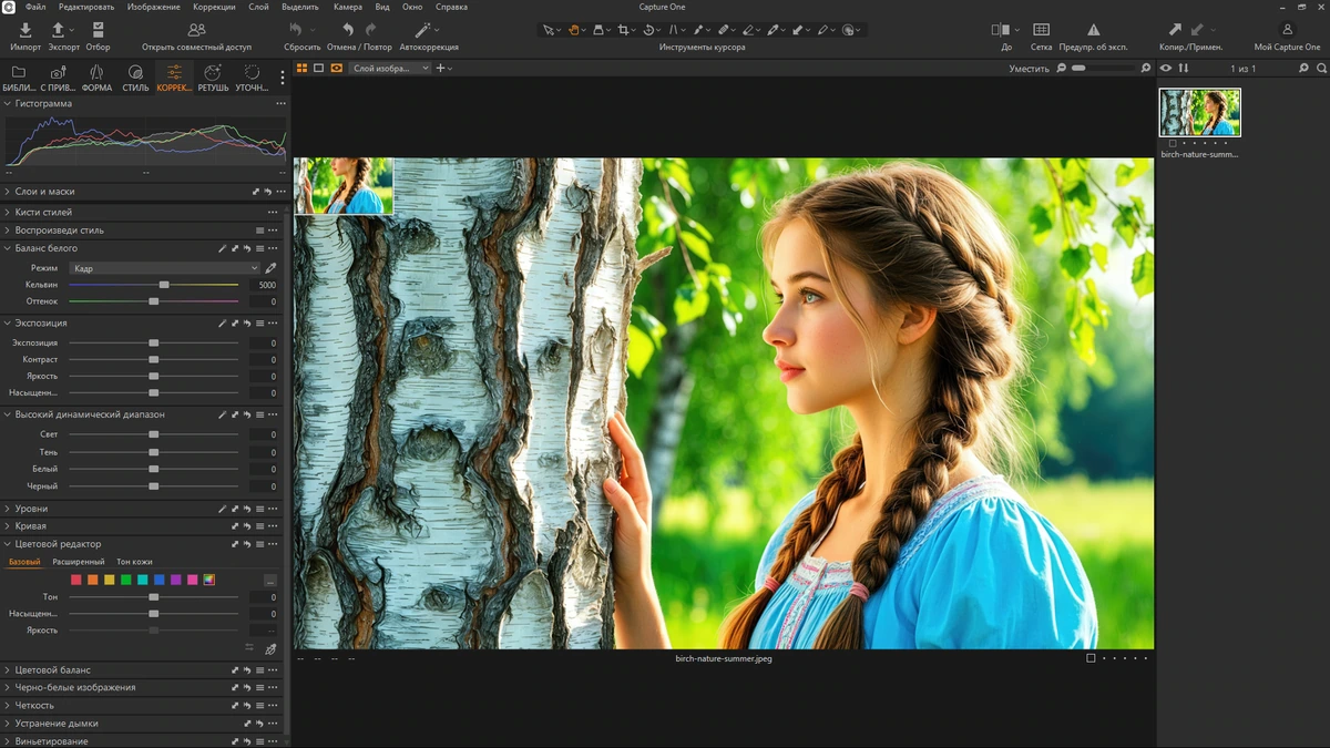 Capture One 23 Enterprise 16.7.0.3201 by KpoJIuK — изображение 3