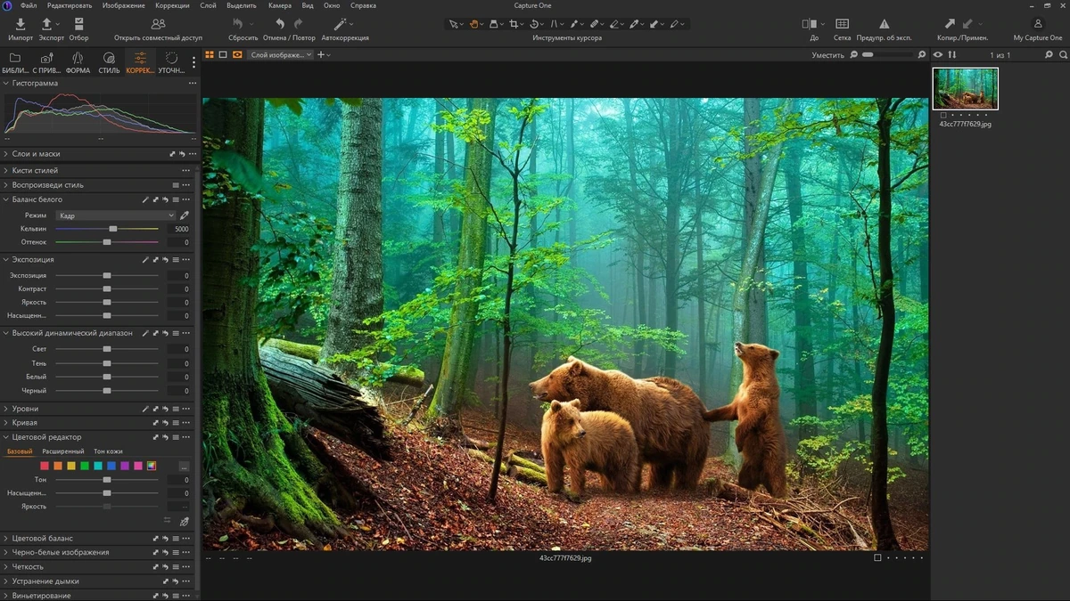 Фоторедактор Capture One 23 Enterprise 16.5.4.2682 by KpoJIuK — изображение 3