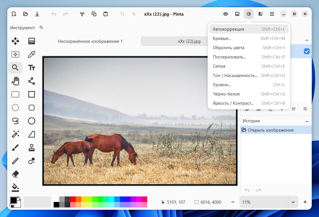 Pinta 3.1 — изображение 3