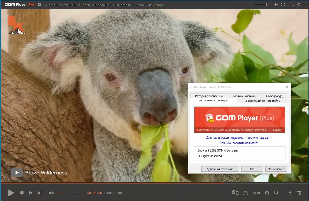 Плеер для видео GOM Player Plus 2.3.88.5358 by Dodakaedr — изображение 3
