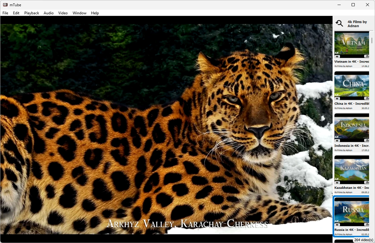 Плеер для YouTube MediaHuman mTube 2.9.9.14 (0615) by elchupacabra — изображение 3