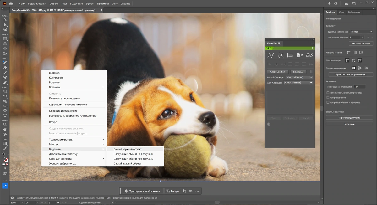 ПО для дизайнеров Adobe Illustrator 2026 30.2.1.1 + Plugins by 7997 — изображение 3