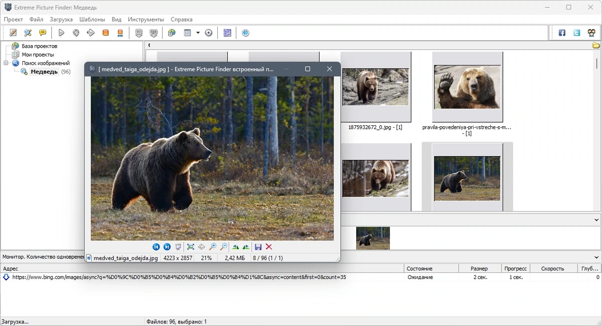 Поиск и загрузка медиафайлов - Extreme Picture Finder 3.65.10.0 RePack by TryRooM — изображение 3