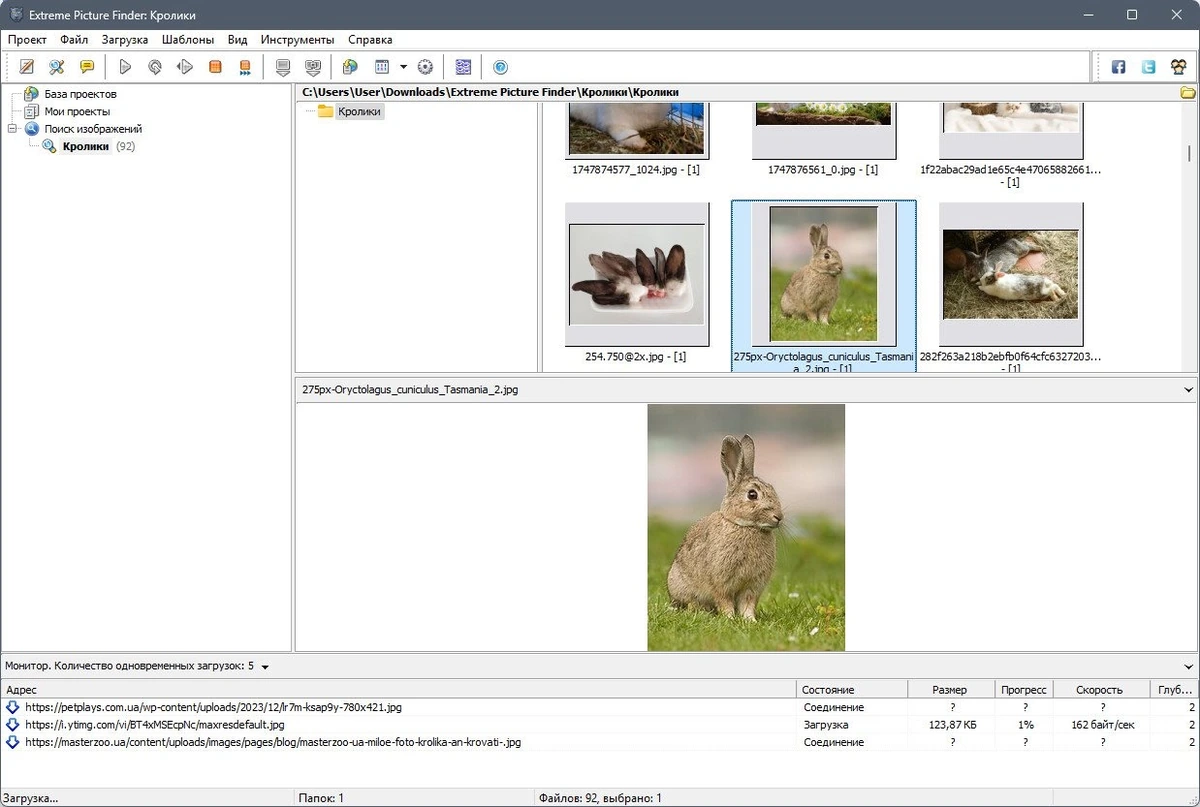 Поиск и загрузка нужных файлов - Extreme Picture Finder 3.66.8.0 Полная + Портативная версии by TryRooM — изображение 3