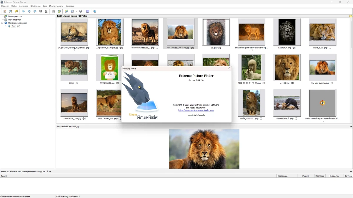 Поиск мультимедиа в сети Extreme Picture Finder 3.64.2.0 by elchupacabra — изображение 3