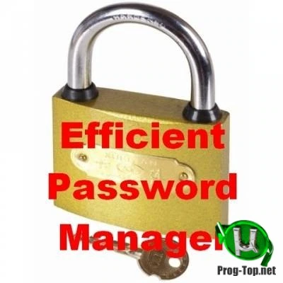 Многофункциональный менеджер паролей — Efficient Password Manager Pro 5.60.559 RePack & Portable by 9649