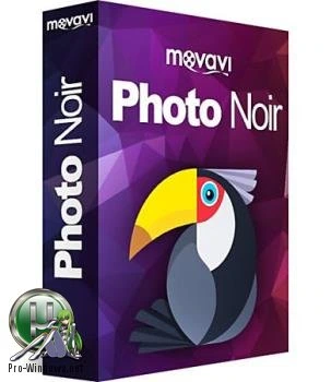 Перевод цветных фотографий в оттенки серого — Movavi Photo Noir 1.0.1 RePack by вовава