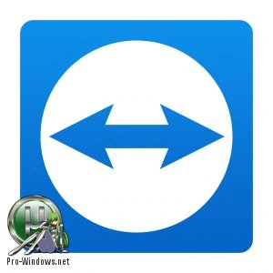 Удаленный доступ — TeamViewer Free 12.0.82216 + Portable